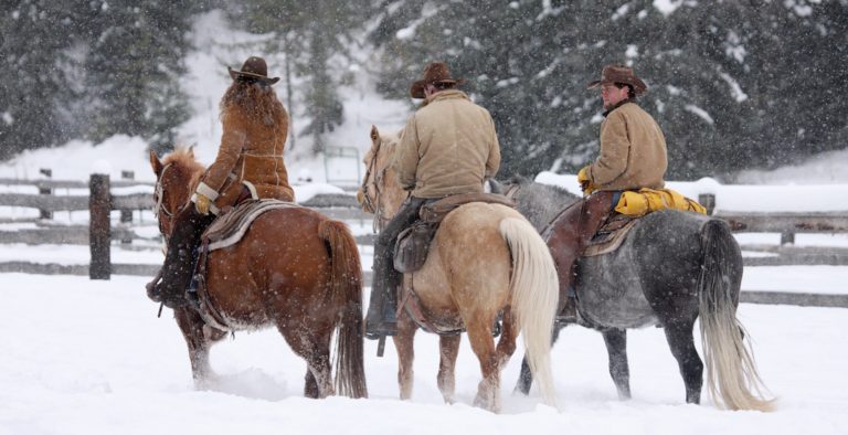 Horse-winter-riding-tips-fun-safety-blogNov219
