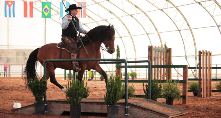 Horse-working-equitation-blgmar18tie