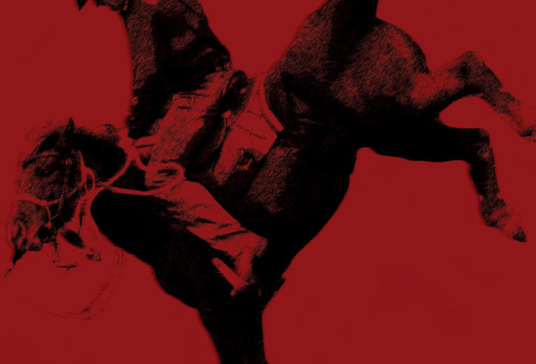 Horse Wreck! promo image