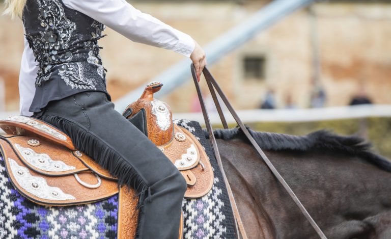 Horse-write-down-goals-better-horsemanship-Aug120