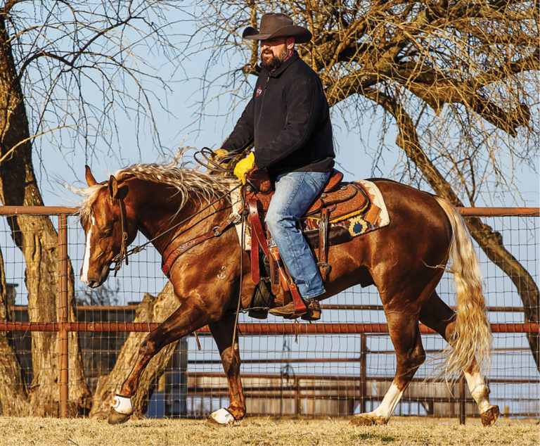 horseandrider-19WIN-Turn Drill_02