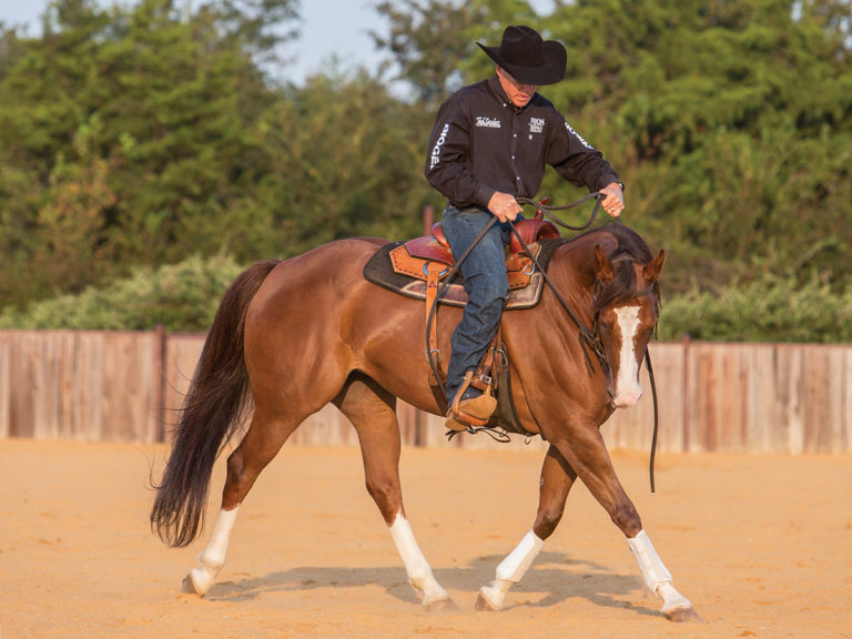 horseandrider_1218_ralls08