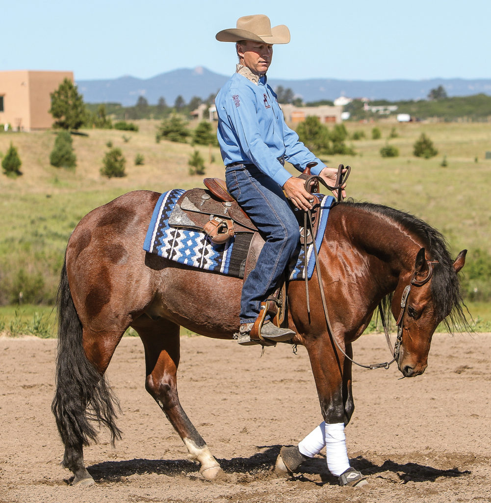 Moving Your Horse Off Your Leg