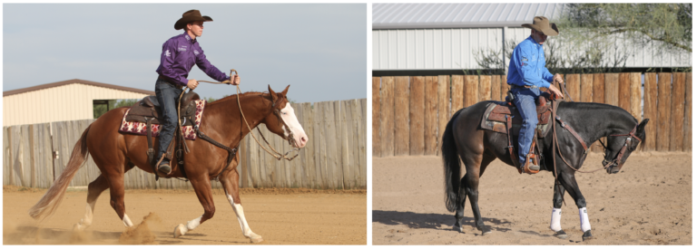 horseandrider_ondemand_week1