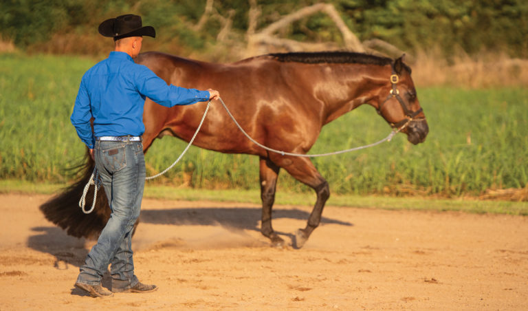 horseandrider_spr19_ground_up_05