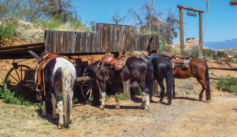 horseandrider_spr19_trailarizona_06