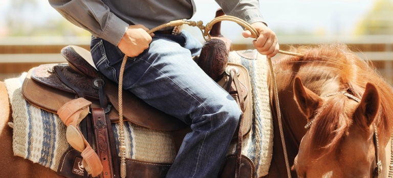 horseandrider_the_ride_banner_1110x500