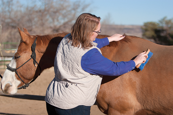 horsegroomingforhealth