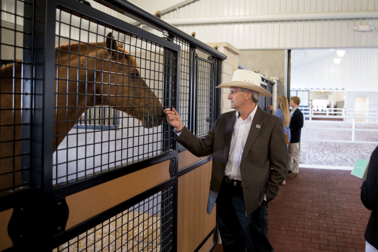 Horse&Rider-Barnyard-Guide-SAS