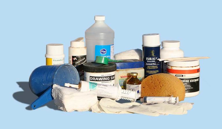 horse&rider-horse-first-aid