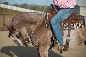 Horse&Rider's Top-10 Posts of 2014 promo image