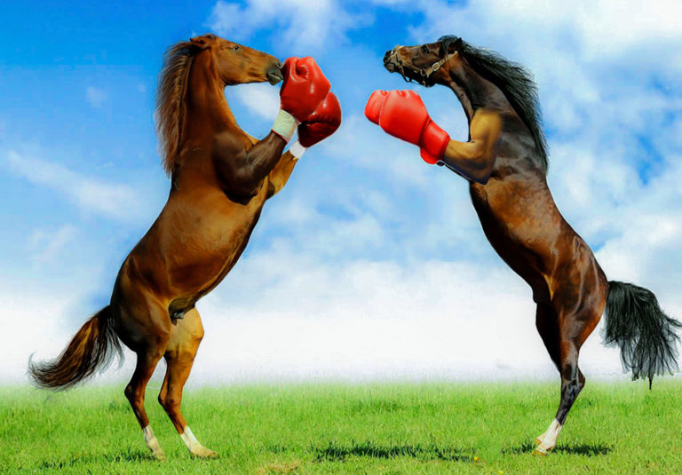 How to Feed a Horse Herd to Prevent Fights promo image
