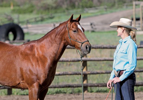 HR-111500-PARELLI-01_gn