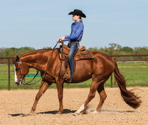 HR-111500-STOP-01_gn