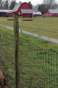 HR-120500-FENCING-02_bjk-199x300