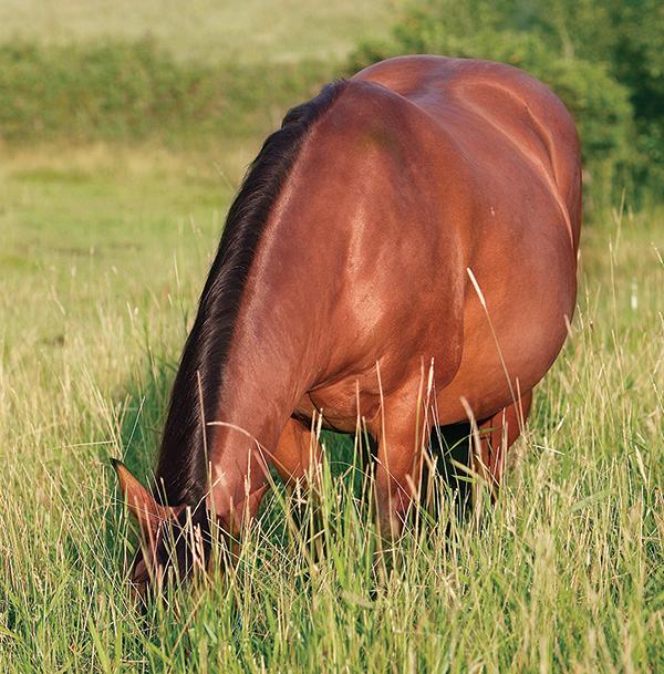 HR-121100-YHYL-03_bjk