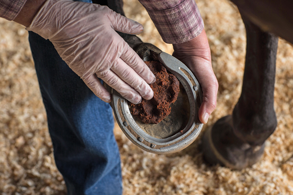 HR-130900-YHYL-07_IM