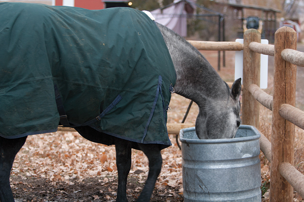 HR-131000-YHYL-07_IM