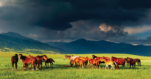 hr-140300-yhyl-13_gn