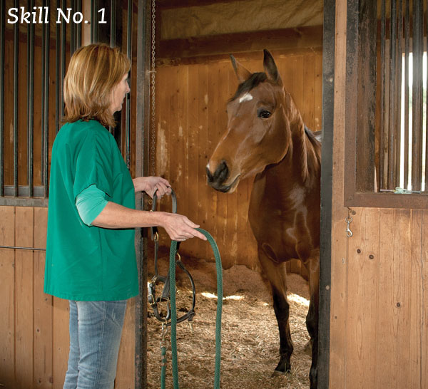 HR-150300-PERFECT-02_gn