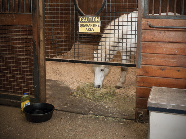 HR-150400-INFLUENZA-01_gn