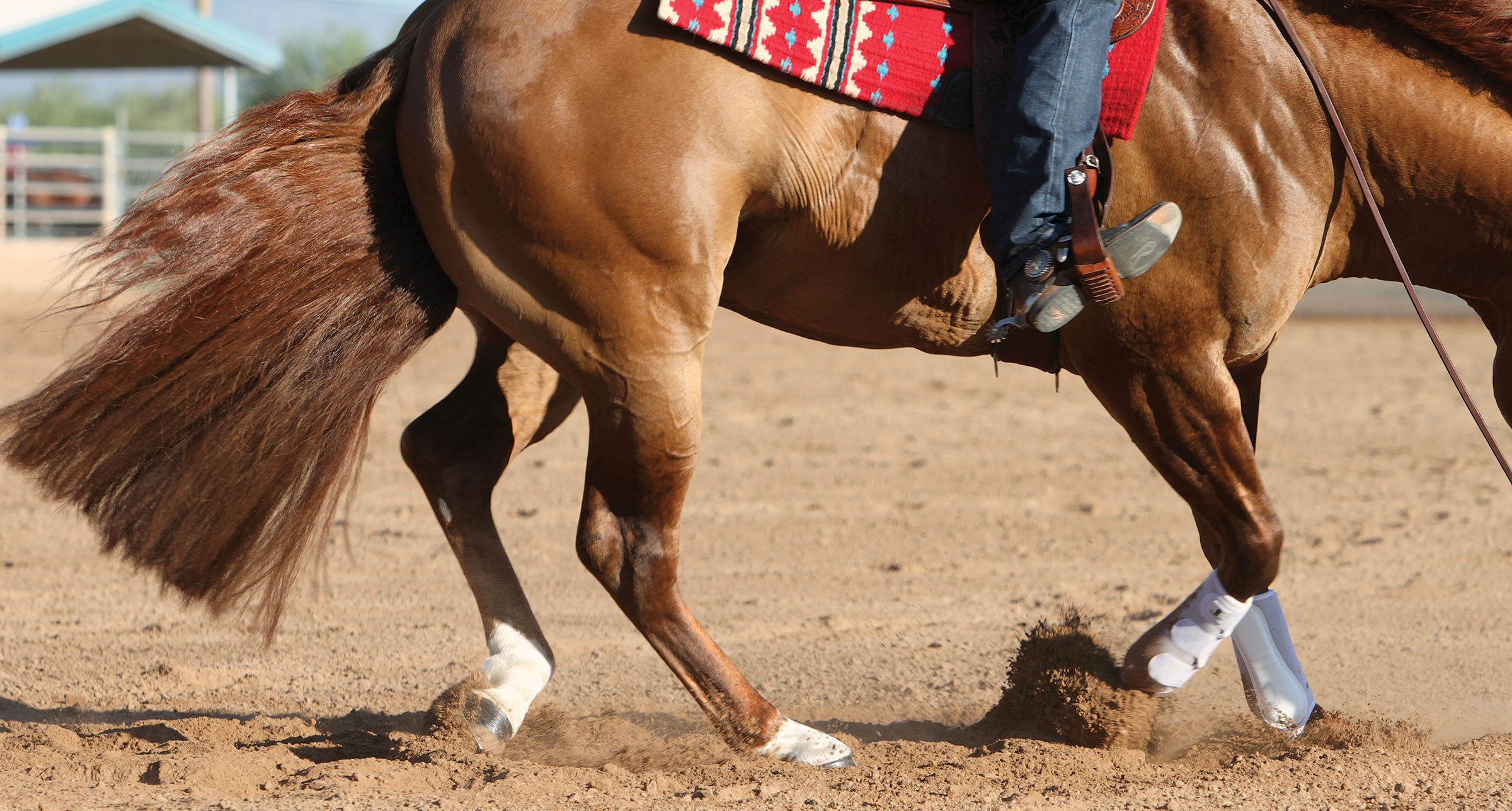 How to Choose the Right Footing for Your Riding Arena
