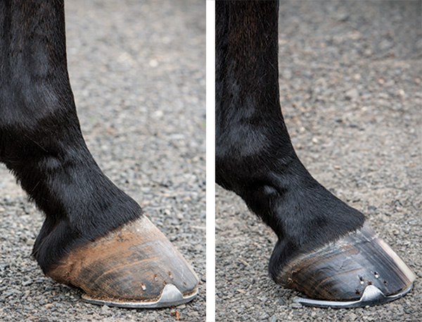 HR-150600-FEET-09-10