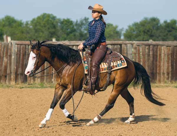 HR-150600-SHOW-01_gn