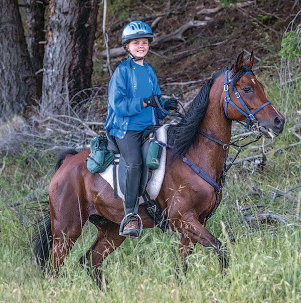 HR-150700-STORIES-01_gn