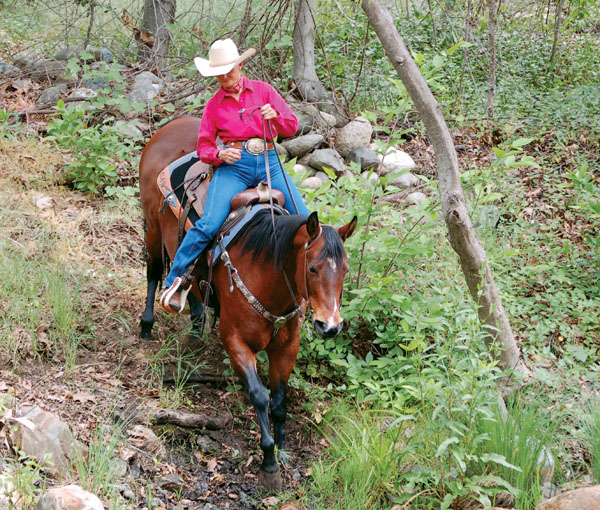 HR-150800-EXTREME-01_gn