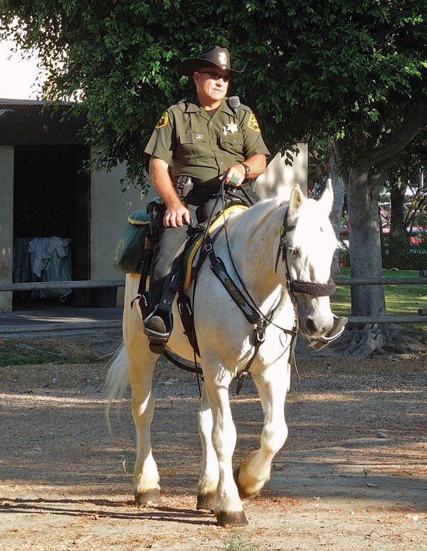 HR-150800-STORIES-01_gn