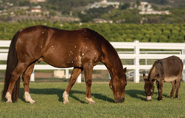 HR-150900-AVILA-01_gn