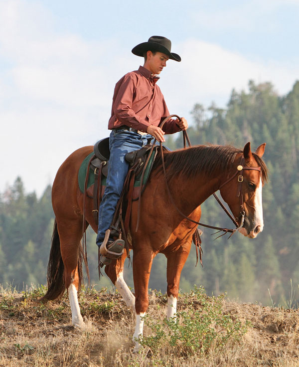 HR-160200-CONDITION-04_gn