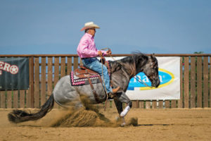 Remembering Bob Avila - Horse&Rider