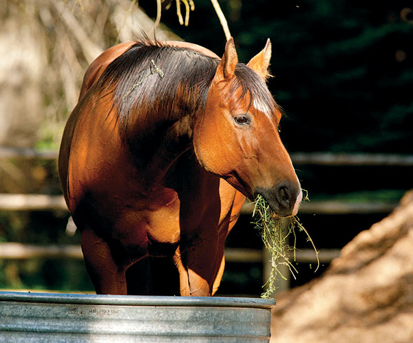 HR-160800-YHYL-05_gn