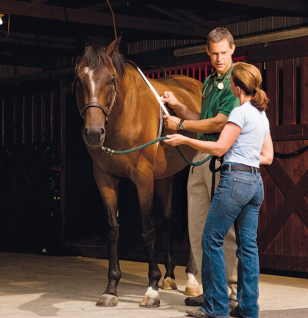 HR-160900-YHYL-03_gn