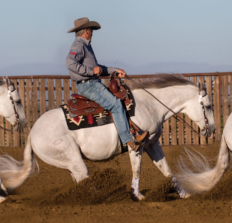 HR-170600-AVILA-01-Teaser