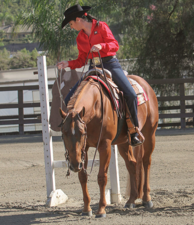 HR-170600-LESSON-01_gn_teaser