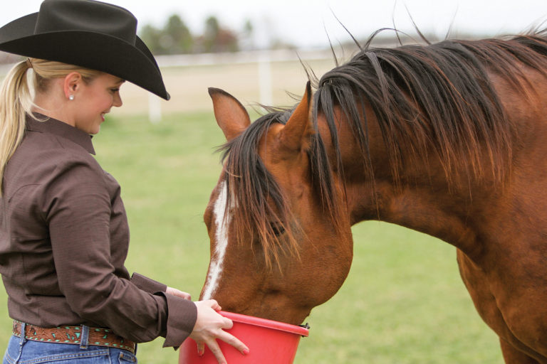 HR-170600-YHYL-09_gn