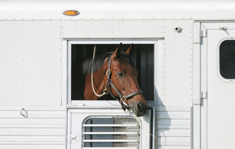 HR-170700-TRAILERS-01_gn