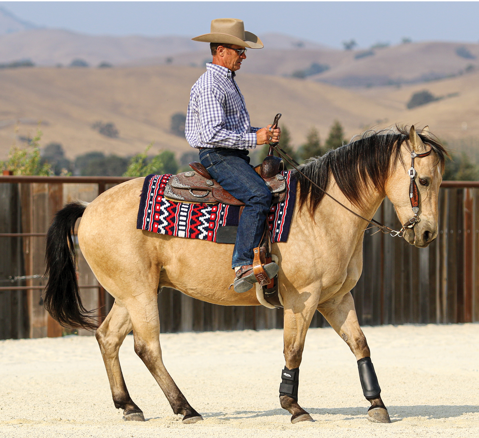 Choosing the right spurs for riding your horse – Our Guide, Naylors Blog