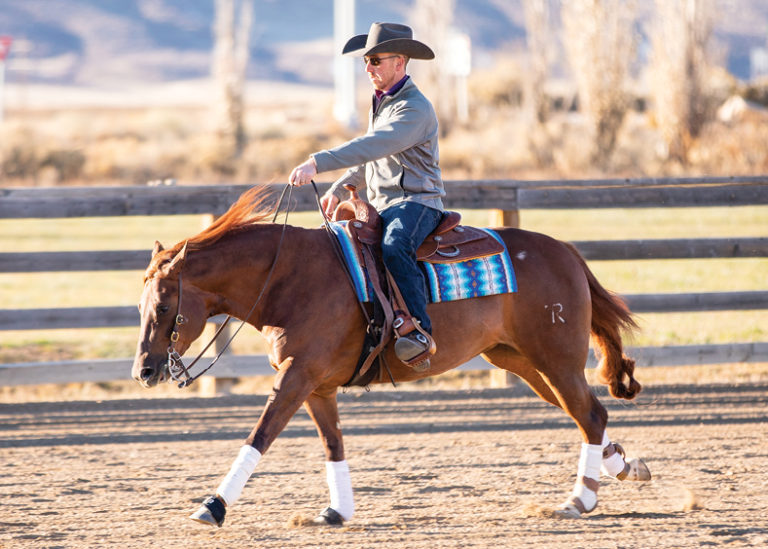 HR-21SPR_confidentrider02