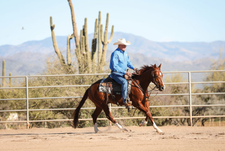 HR-21SPR_Elusive_Feel01