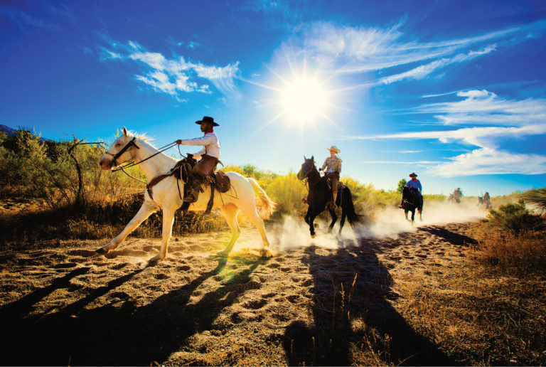 HR-21SPR_TravelTucsonArizona01