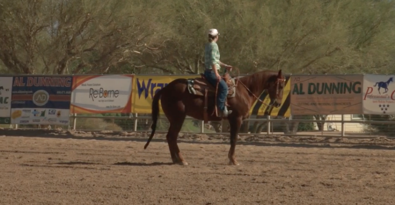 hr-Al-dunning-ranch-riding-evaluation-2