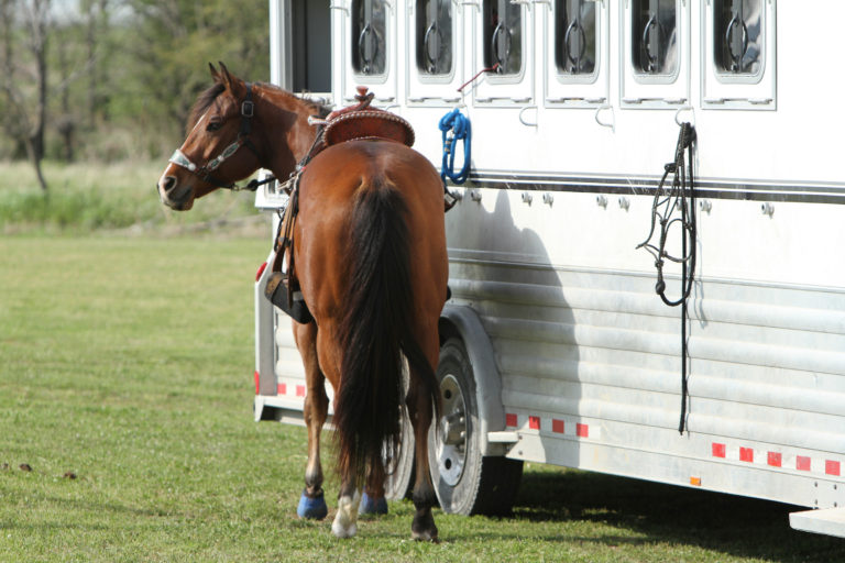 HR-GP-july17-horse-trailer-alana