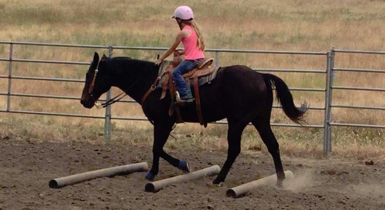 HR-GP-sept17-youth-riding-lessons