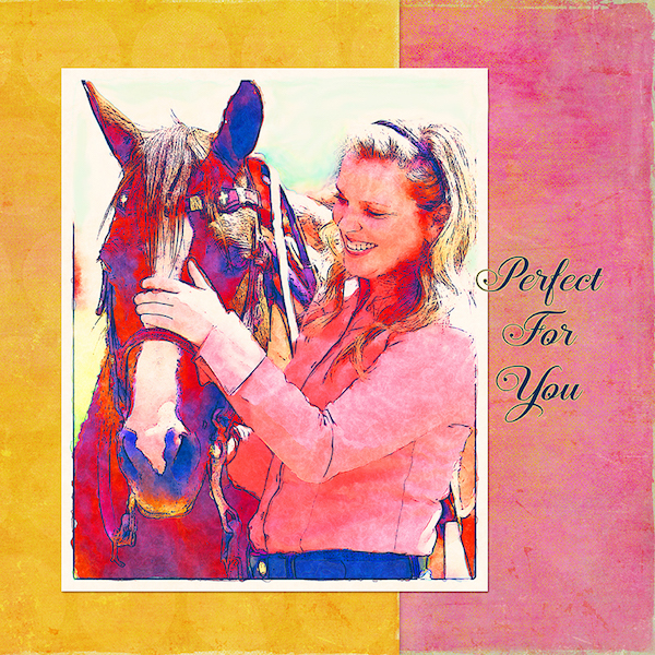 HR-horse-perfect-for-you-Ybarra