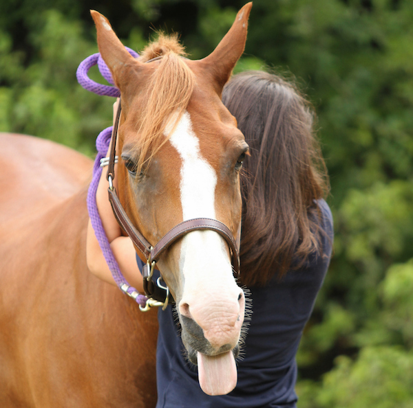 HR-horses-not-binary-hug-alana