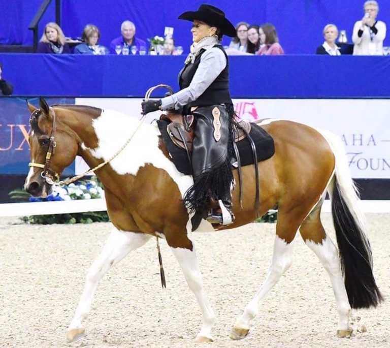 HR-jul17-lynnpalm.dressage.paint